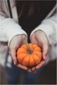small-pumpkin-in-hand