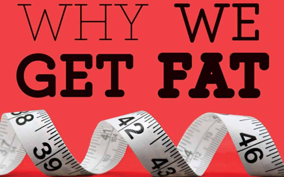 why we get fat why we get fat